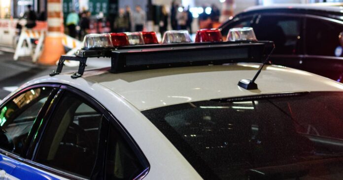cop police car pubdomain Jan Gottweiss