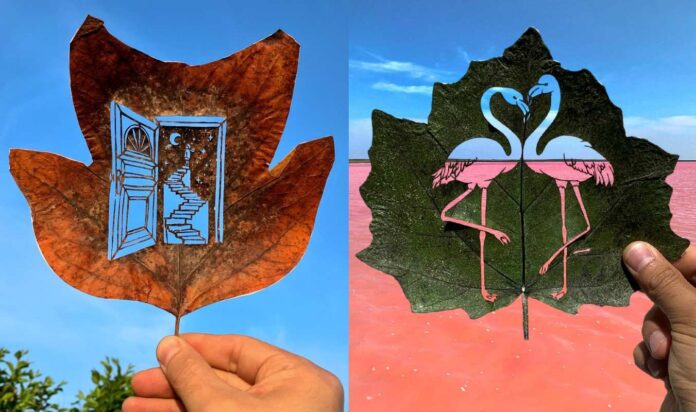 leaf art feature photo swns