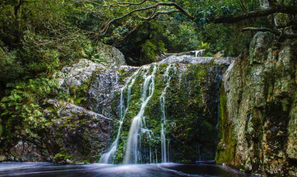 These African Nations Used Satellite Monitoring to Cut Deforestation by 18 Percent