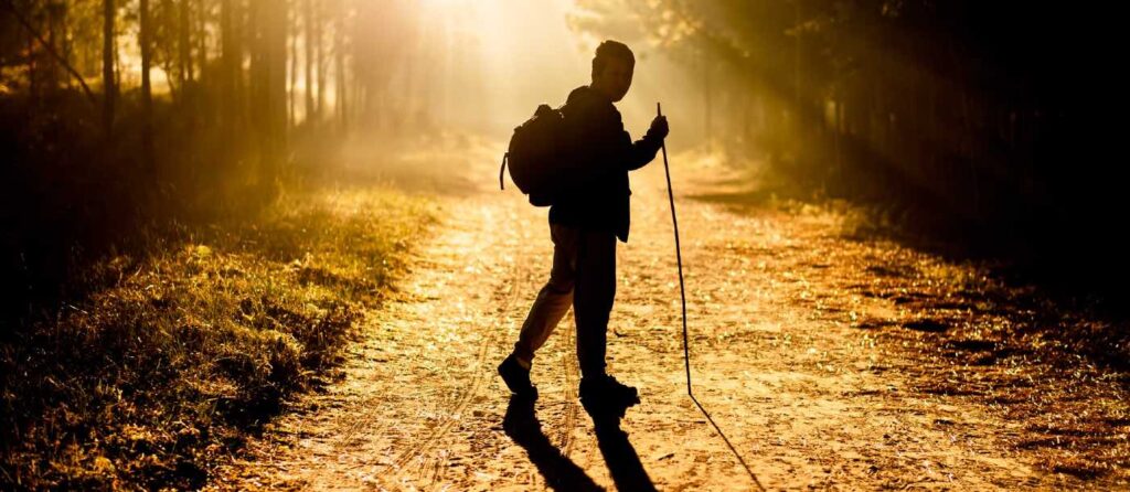 Just Go Walk: Studies Show Normal Walking Can Add Years to Your Life and Reduce Disease Symptoms