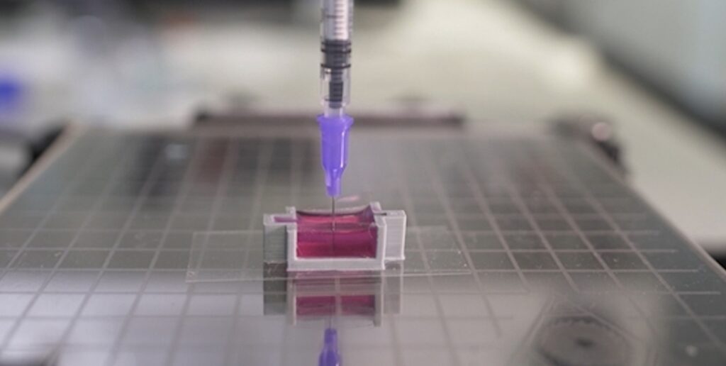 Scientists Use Novel Ink With Calcium to 3D-Print ‘Bone’ With Living Cells