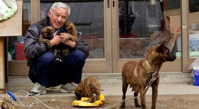 japan earthquake Naoto Matsumura facebook social media (1)