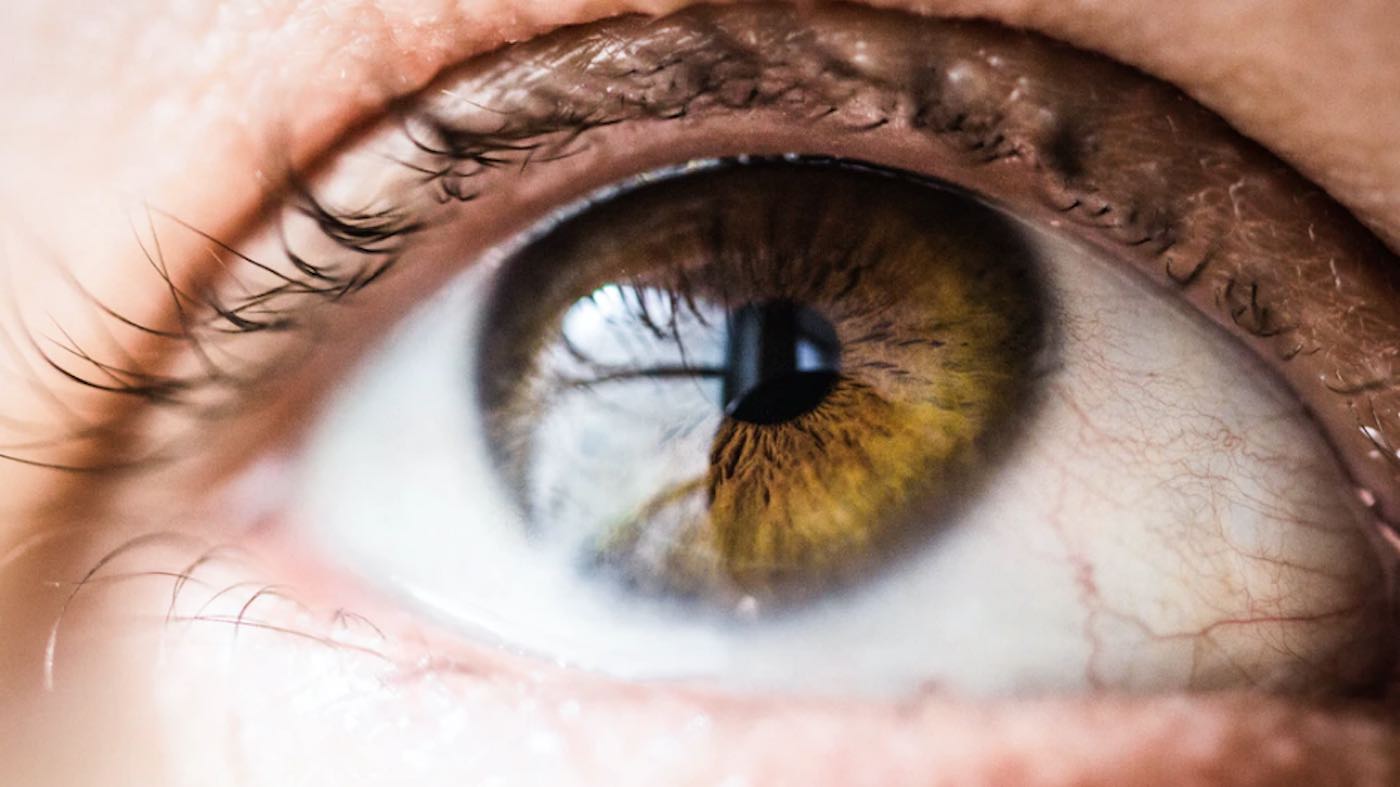 Terapi Lampu Merah Dapat Meningkatkan Penglihatan Setelah Menurun Karena Usia
