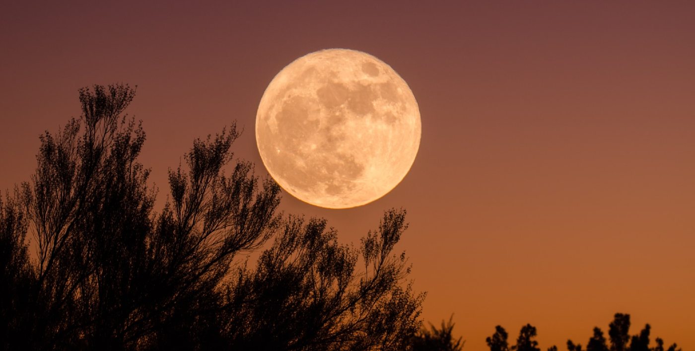 Spectacular Super Pink Moon is coming up next week – here’s how to photograph it in the night sky
