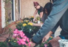 Gardening Just Twice a Week Improves Wellbeing and Prunes Your Stress, Says New Study