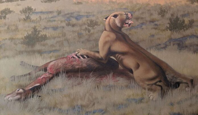 Artist's impression of the new saber-toothed cat. released Roger Witter)