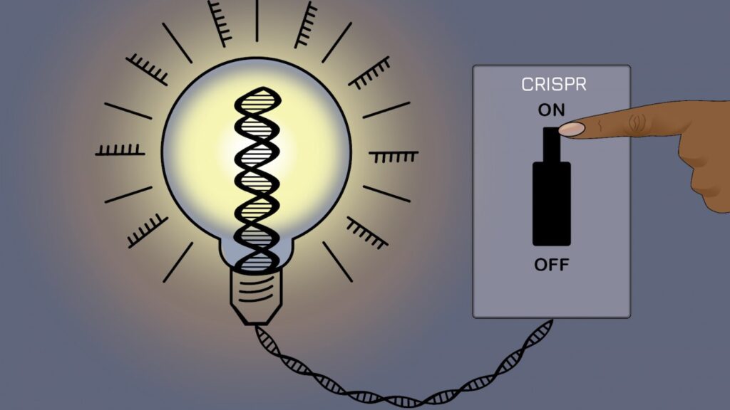 Researchers Create CRISPR ‘On-Off Switch’ to Control Inherited Genetic Problems Without Changing DNA