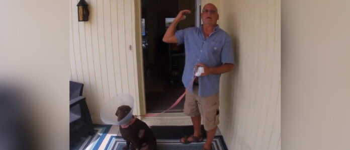 man and dog screenshot abc action news embedded