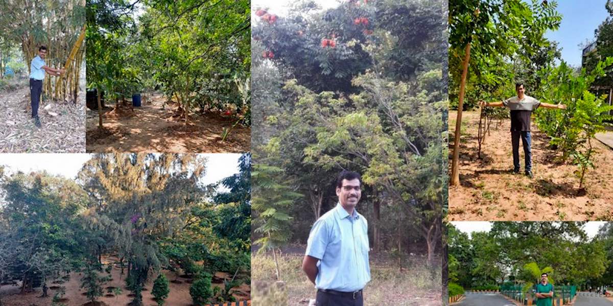 Inspiring College Principal Mengubah 8 Hektar Tanah Tanpa Pohon menjadi Hutan Mini dan Kebun di Kampus India