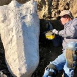 Astounding Fossil Discovery in California After Man Looks Closely at Petrified Tree And Finds Bones of Great Beasts