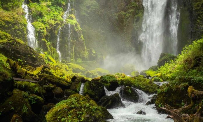 waterfall river nature stream creek pexels-avery-nielsenwebb public domain