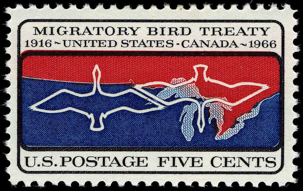 Good News in History, August 16