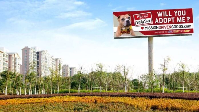 Sally-Sue-Shelter-Dog-Adoption-Billboard-Scott-Poore