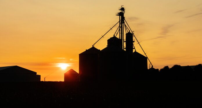 agricultre sunset scene L. Brian Stauffer university of illinois