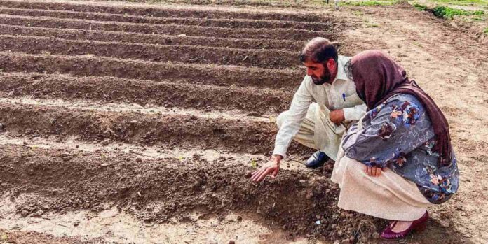 poster-responsive-drop-irrigation released