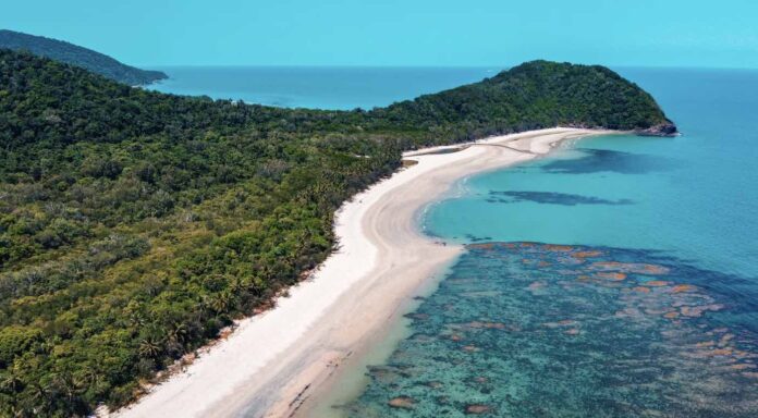 Daintree Rainforest Park Queensland Australia Great Barrier Reef and beach-pubdomain-Manny Moreno