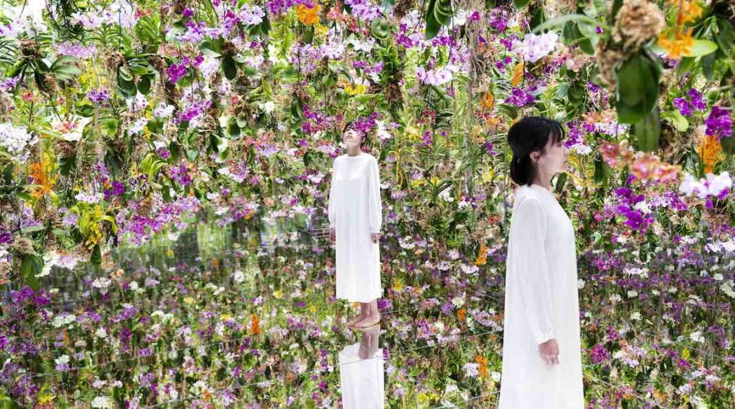 A Floating Flower Garden in Tokyo Immerses Visitors With Orchids That Move as You Approach (WATCH)