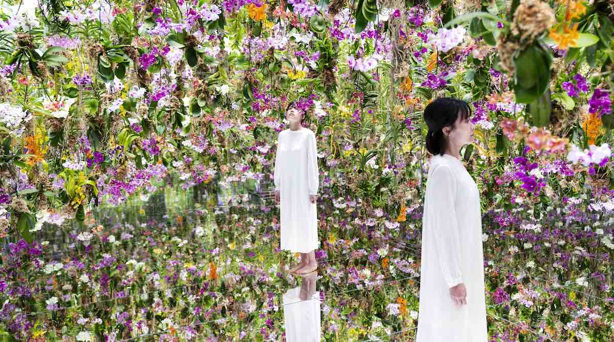 Taman Bunga Terapung di Tokyo Membanjiri Pengunjung Dengan Anggrek Yang Bergerak Saat Anda Mendekati (TONTON)