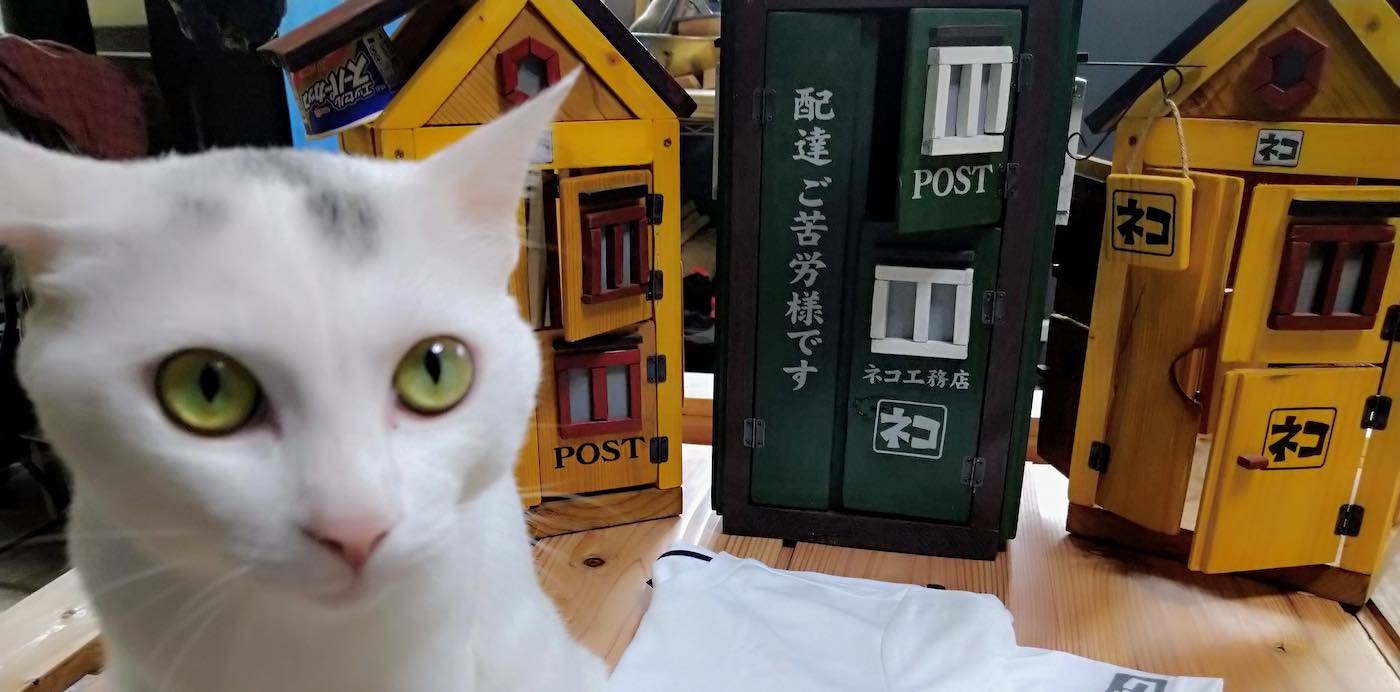 Istanbul Improves the Lives of Thousands of Stray Cats with Elaborate  Outdoor Cat Houses