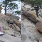 Woman Falls Down Mountain, Writes Hilarious Review For Leggings Giving Them 5-Stars