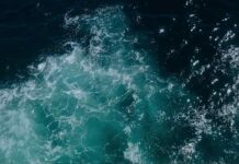 Cutting-Edge Facility Generates Pure Water and Hydrogen Fuel from Seawater for Mere Pennies