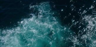 Cutting-Edge Facility Generates Pure Water and Hydrogen Fuel from Seawater for Mere Pennies