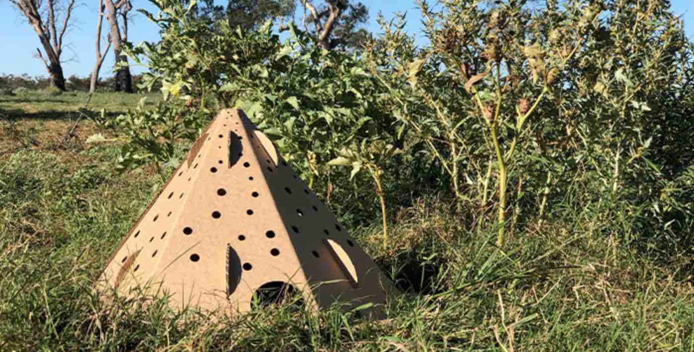 Pod Habitat Cardboard Memberikan Kesempatan Berjuang untuk Hewan yang Tergusur oleh Kebakaran Hutan