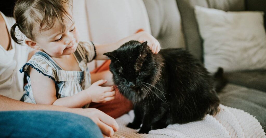 Cats Are Less Stressed in Families With Children Who Have Autism, Study Finds