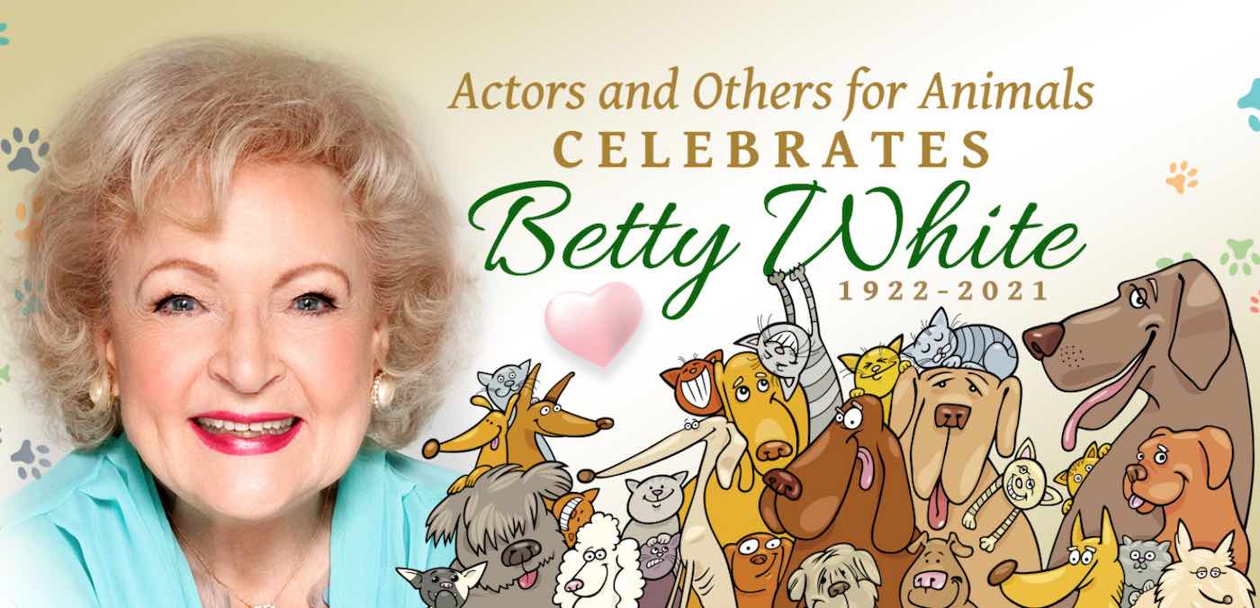 Hampir $ 13 Juta Dikumpulkan Untuk Penampungan Hewan untuk Menghormati Selebriti Terlambat Dengan #BettyWhiteChallenge