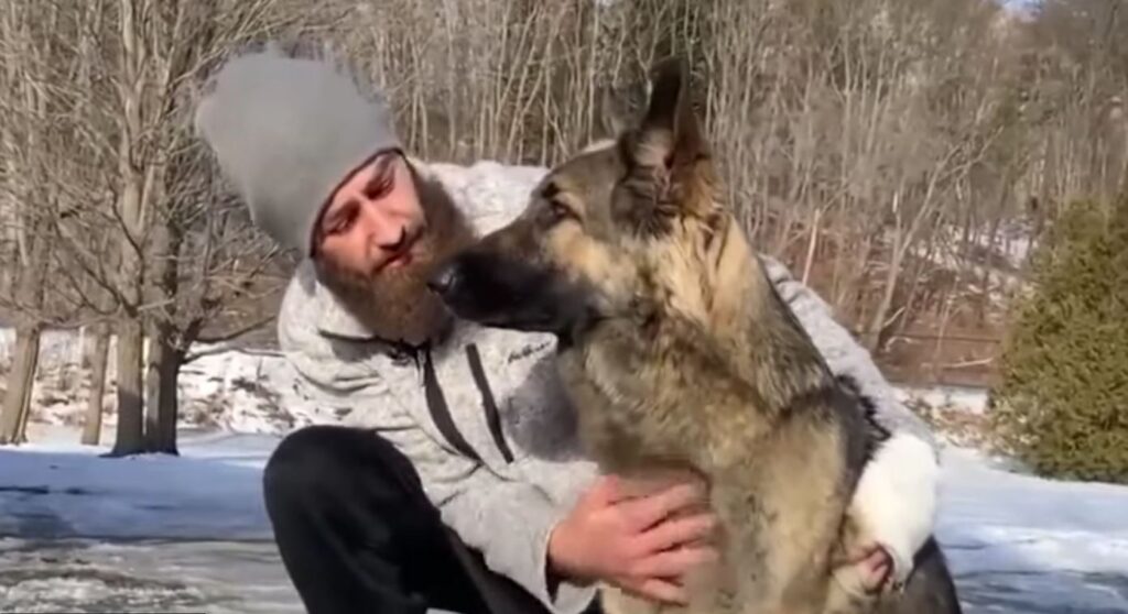 Determined ‘lassie Dog Leads New Hampshire Police Back To Scene Of