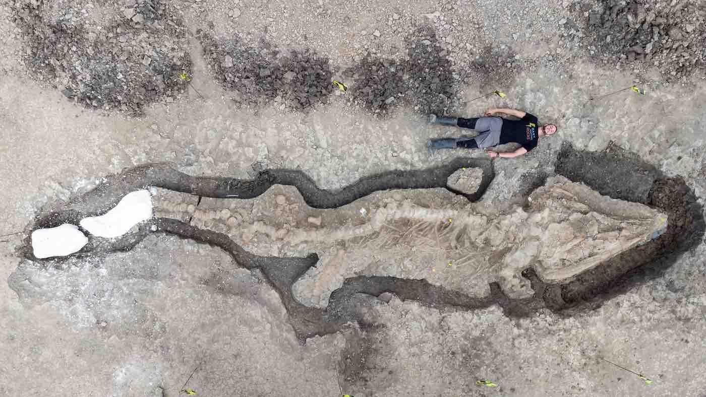 Salah satu Fosil ‘Naga Laut’ Terbesar yang Pernah Ditemukan di Inggris Ditemukan Sebagai Ichthyosaurus Lengkap