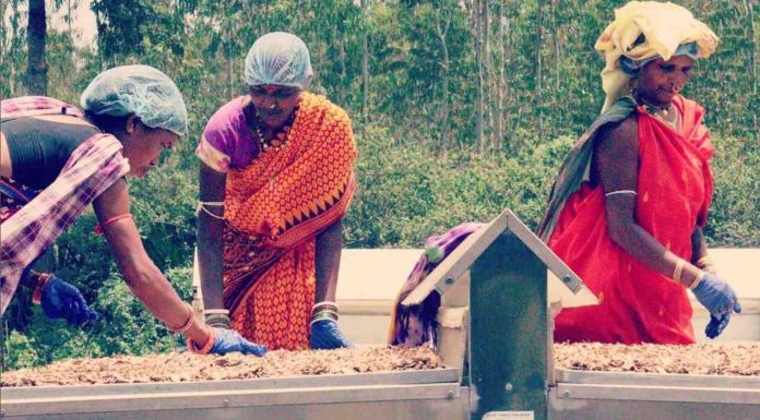 dehydrator india sociaml media instagram s4s