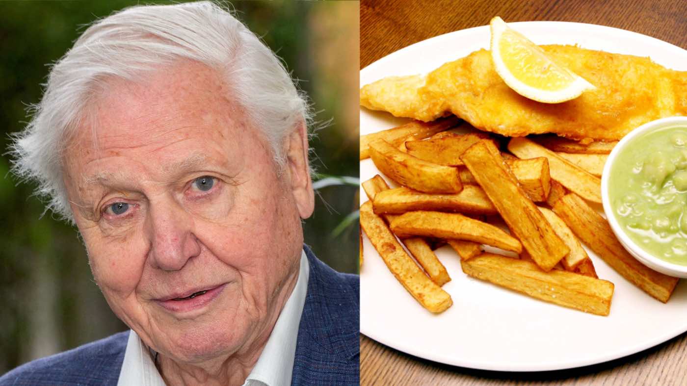 50 Hal Terbaik yang Keluar dari Inggris Telah Dinamai –Dengan Fish & Chips dan David Attenborough di Atas