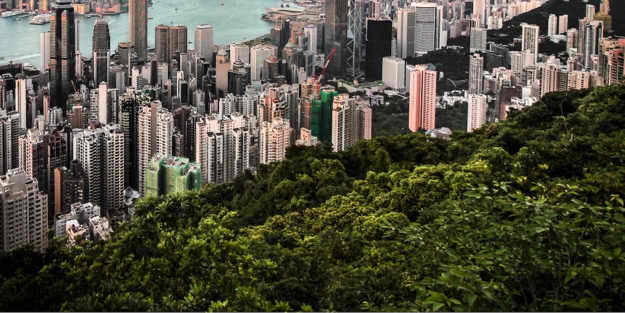 Pohon Kota dan Tanah Menyedot Lebih Banyak Karbon Dari Atmosfer Daripada Yang Kita Pikirkan