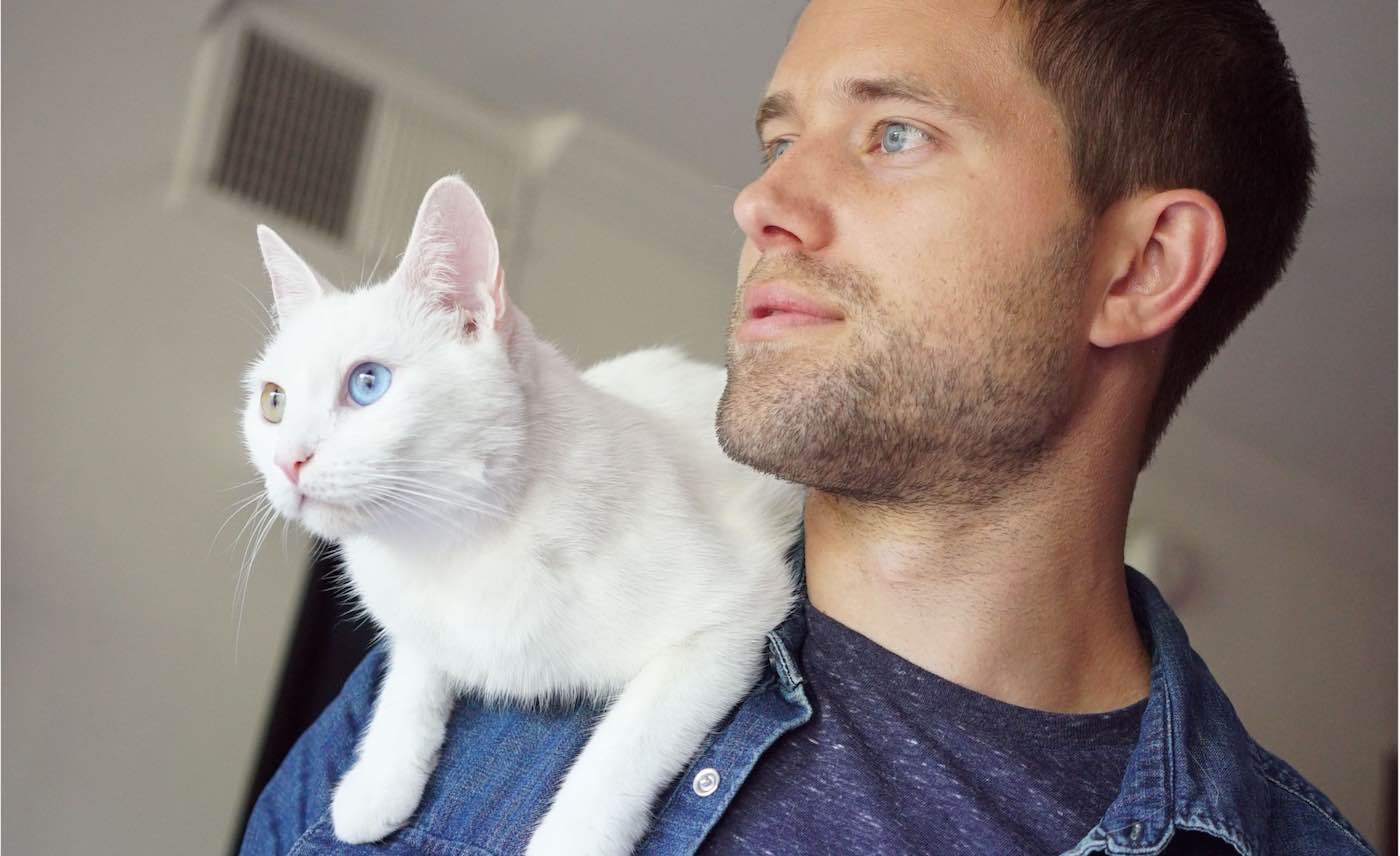 Tonton Cinta Antara Pria dan Kucing Mereka dalam Film Baru Sempurna untuk Menonton di Rumah Bersama Hewan Peliharaan Anda