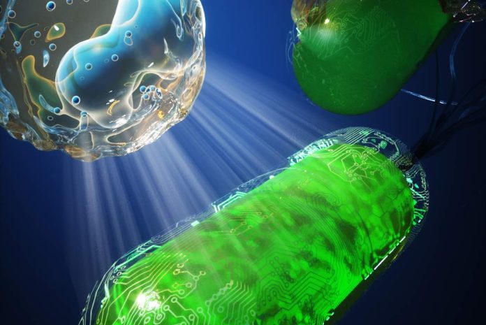 Invisible cloak for cancer treatment-Tal Danino Lab-Columbia Engineering via SWNS