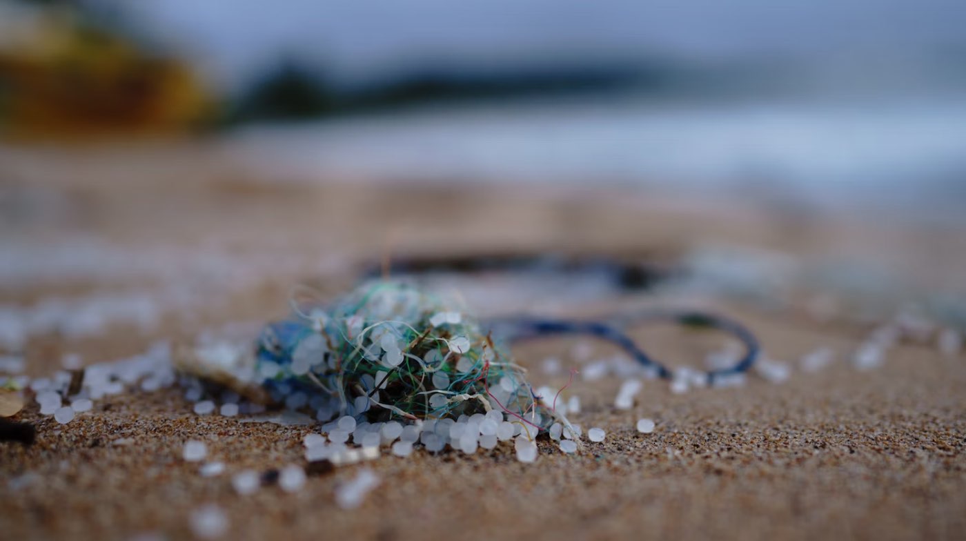 Australia Memotong Sampah Plastik di Pantainya Hampir Sepertiganya Hanya Dalam 6 Tahun