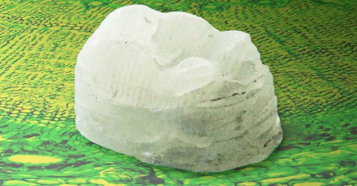 mit plastic released MIT