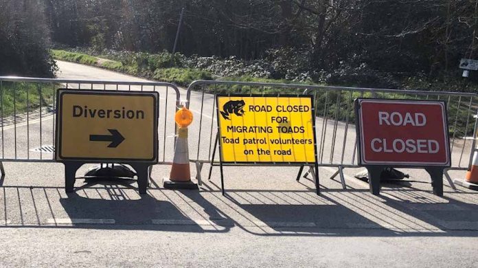 road closed for toads-SWNS