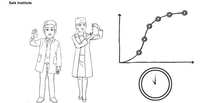 time aging doctors graphic-Salk Institute released