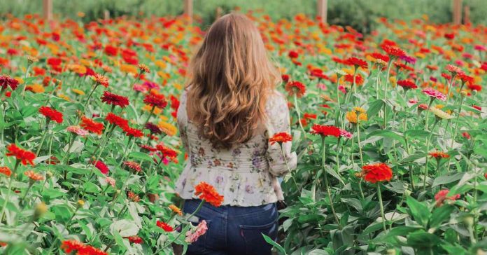 woman in flower garden zinnias dream growth future-pubdomain Bonnie Kittle