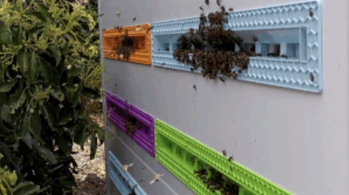 Beewise bee hive-website