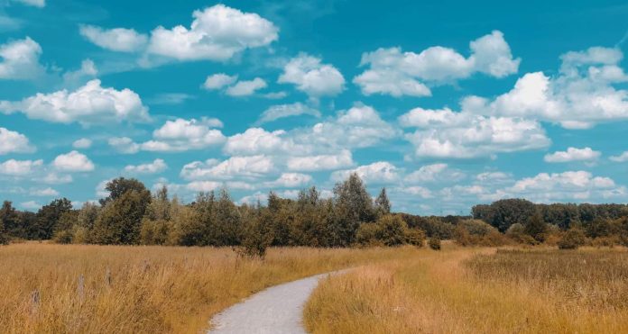 country field clouds nature path hike summer-pubdomain-30daysreplay Social Media Marketing