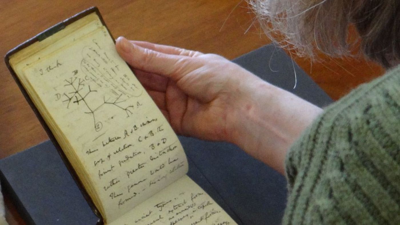 Dicuri 22 Tahun Lalu, Dua Buku Catatan Charles Darwin yang Tak Ternilai Dikembalikan Secara Misterius dalam Tas Hadiah Merah Muda