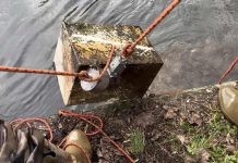 Teen Finds a Safe Containing Thousands on Bottom of River – Tracks Down Owner Who’d Been Robbed 22 Years ago