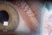 Ultrasound That Takes a Baby’s First Pictures May Also Help the Blind to See