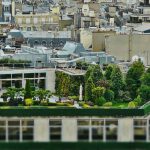 European Cities Are Turning Rooftops Into Community and Sustainability Hubs: ‘A revolution in urban planning’