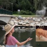 Ashes Scattered After Her Dog Dies Formed “Miraculous” Shape in the Wind: ‘They Never Truly Leave Us’ (Watch)