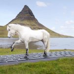 Iceland Trots Out Service That Lets Horses Reply to Work Emails While You’re On Vacation