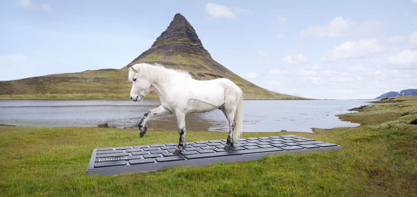 Islandia Trots Out Layanan yang Memungkinkan Kuda Membalas Email Kerja Saat Anda Sedang Berlibur